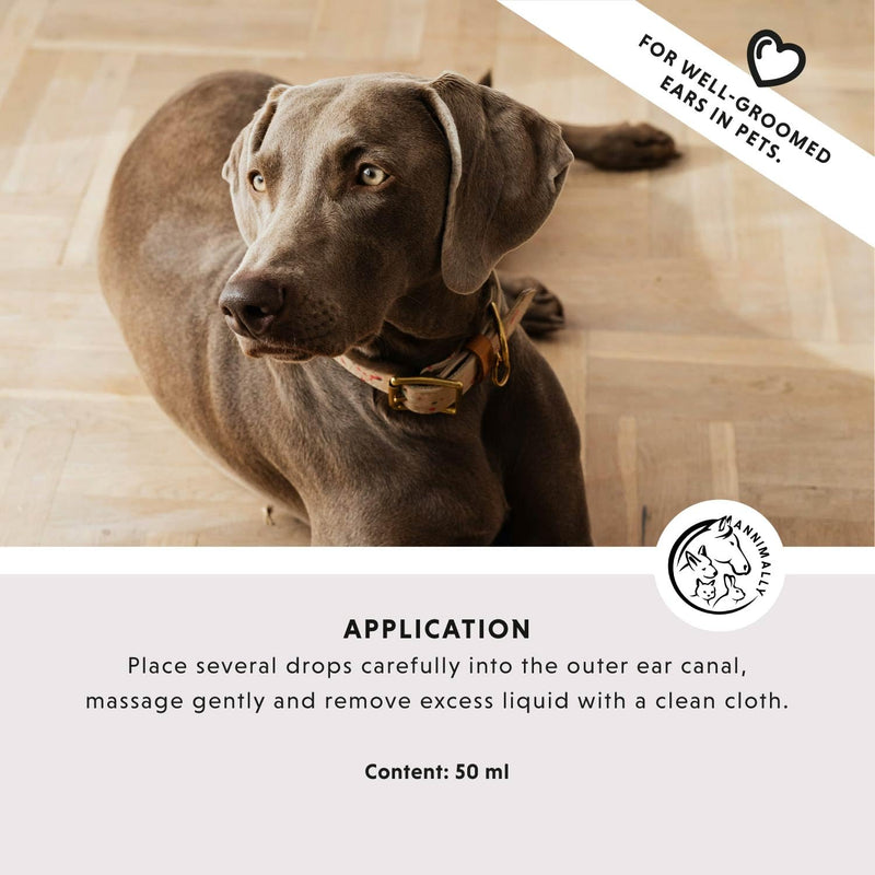 Annimally Ear Drops for Dogs & Cats with Colloidal Silver 50 ppm 50 ml - Gentle Ear Cleaning, Alcohol-Free Formula for Daily Use, Made in Germany