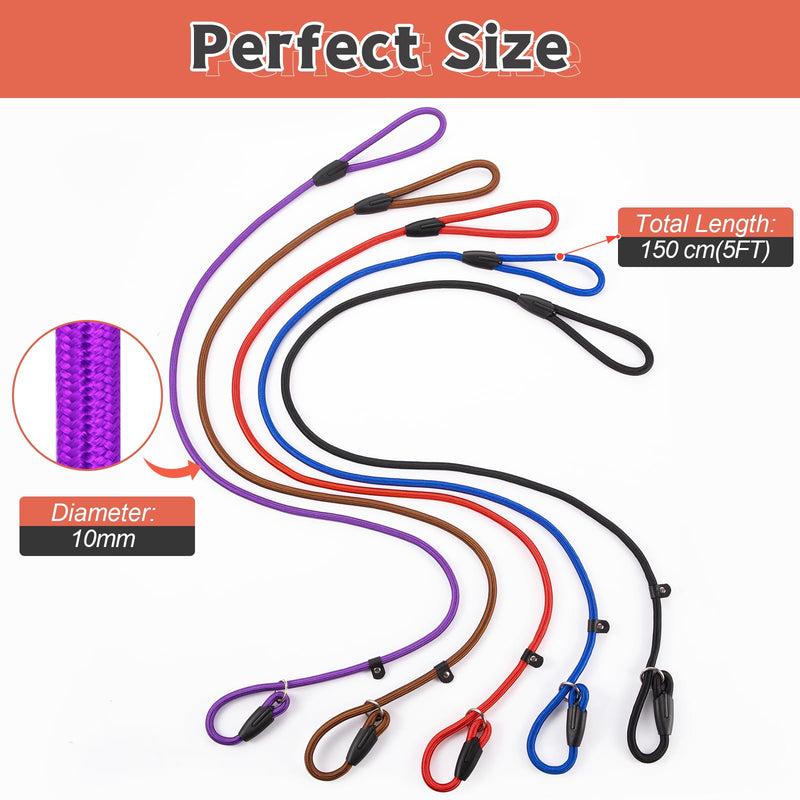 5pcs Slip Lead Dog Leash,Strong Nylon Rope Leash,Training Leash for Large Medium and Small Dogs - BeesActive Australia