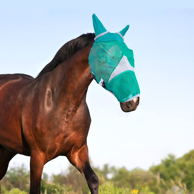 Downtown Pet Supply - Horse Fly Mask with Ears - Horse Mesh Face Mask or Horse Face Cover with Velcro Straps and Fleece Lined Ear Holes - XL - BeesActive Australia