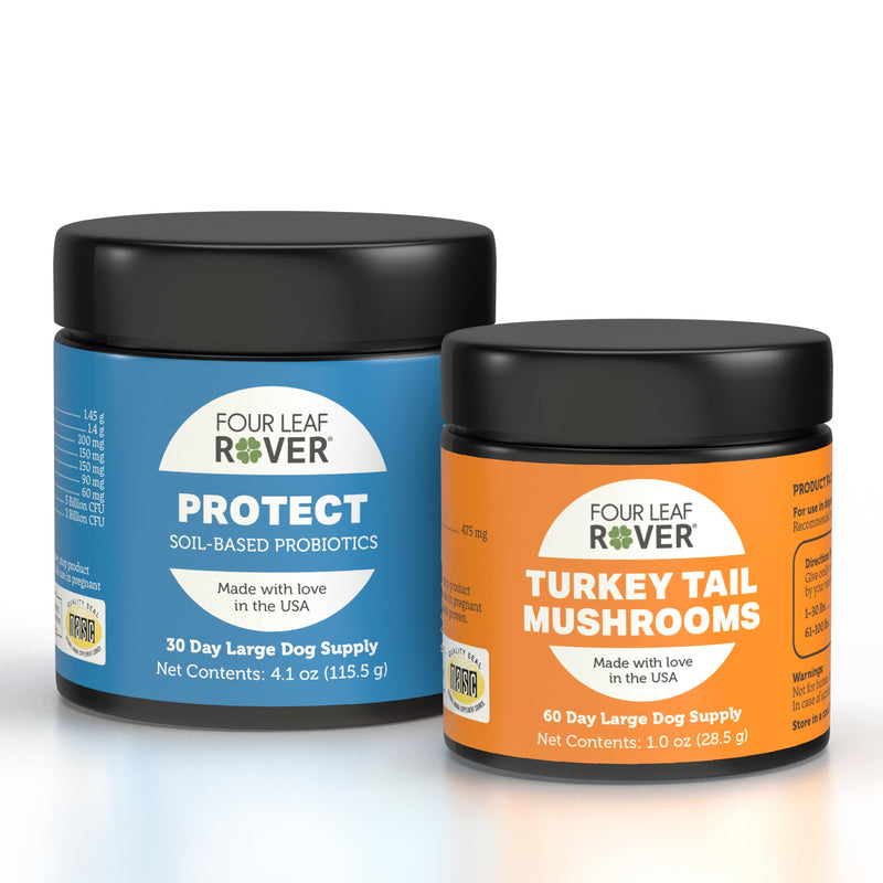 Protect + Turkey Tail Mushrooms