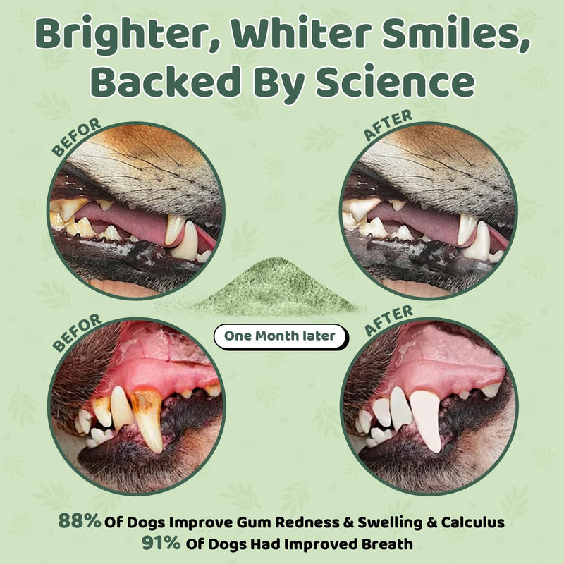 Dog Teeth Cleaning Powder, Dog Dental Powder, Dog Dental Care, Targets Tartar & Bad Breath & Reduces Plaque, Dental Powder for Dog Teeth Cleaning, Green