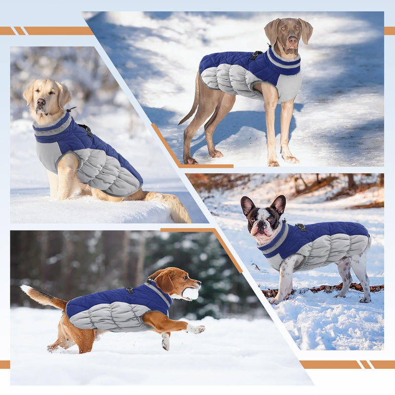Large Dog Coat,XXLarge Dog Winter Coat,Waterproof Dog Jacket with Back Zipper,Extra Large Dog Coat,Warm Fleece,Dog Jacket with D-Ring,Windproof Dog Winter Clothes Golden Retriever Blue XX-Large - BeesActive Australia
