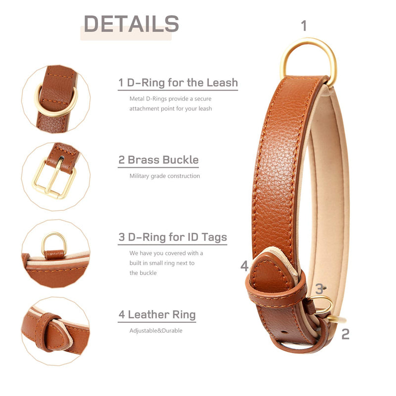 HEELE Dog Collar, Dog Collar with Padded and Genuine Leather, Adjustable Collar for Puppies, Medium, Small Dogs, Brown, M M (Pack of 1) - BeesActive Australia