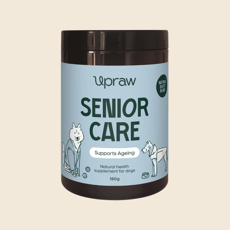 Senior Care Natural Health Supplement for Senior Dogs 160g – Daily Nutritional Support with Vitamins, Minerals & Botanical Ingredients