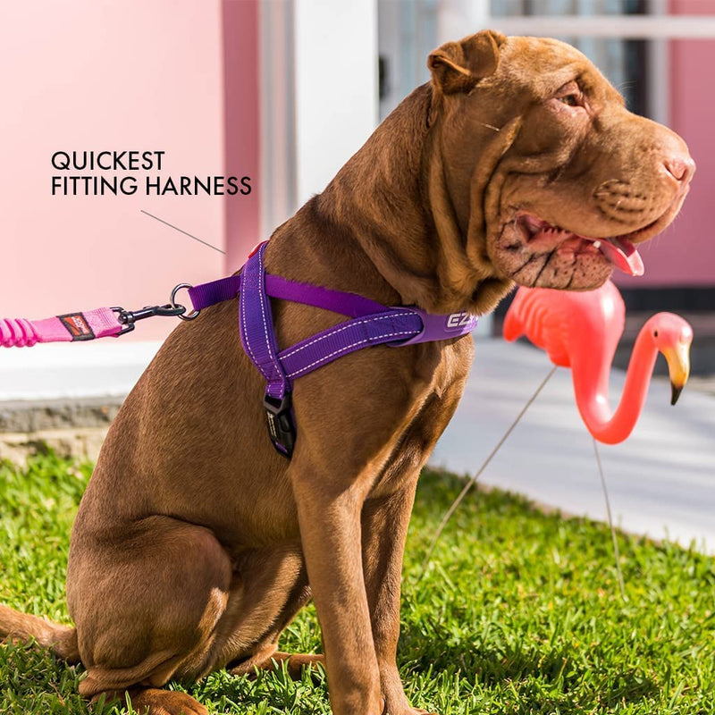 EzyDog Premium Quick Fit Adjustable No-Pull Dog Harness Vest with Reflective Stitching - Perfect for Training, Walking, and Control - Padded for Comfort (Large, Black) Large - BeesActive Australia