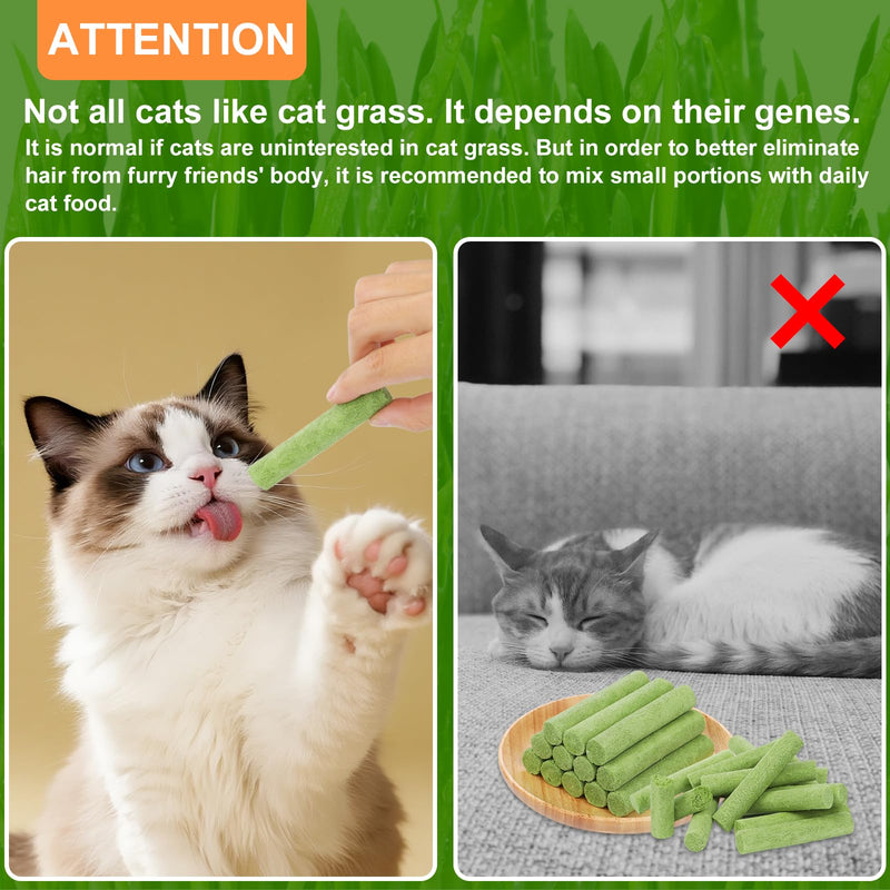 110g Cat Grass Sticks for Indoor Cats, Natural Freeze-Dried Treats, Hairball Treatment, Edible Chew Toy Snack for Teething & Hairball Removal 3.88 Ounce (Pack of 1)