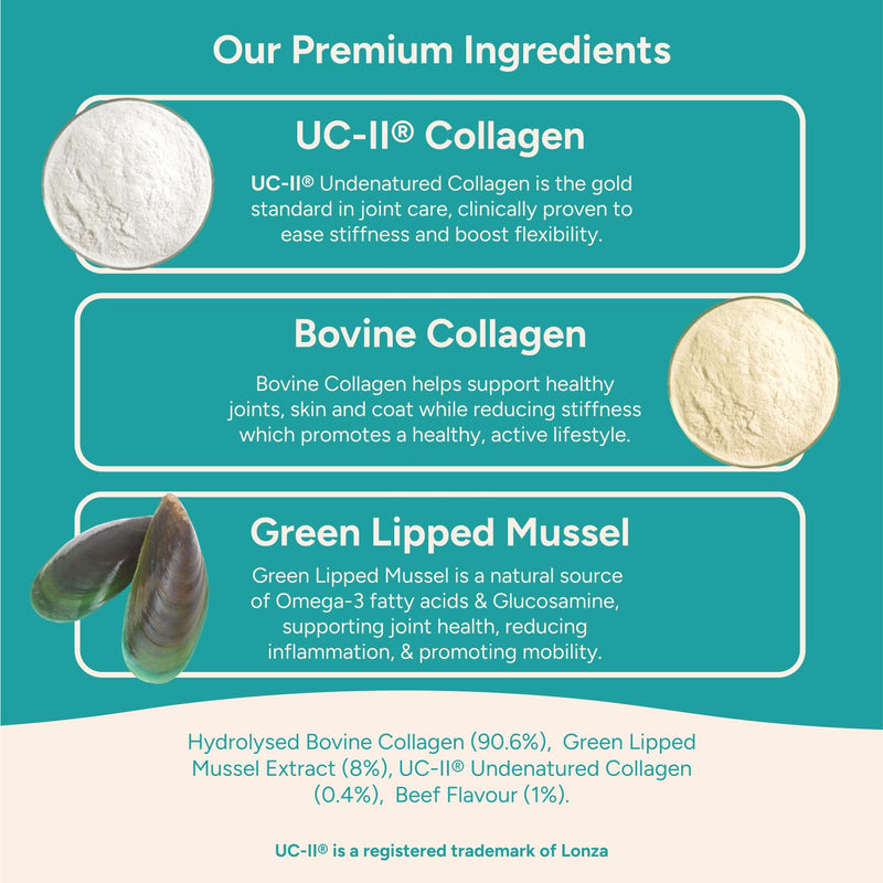 Happi Pets Collagen for Dogs Powder - Joint Supplements for Dogs - Dog Supplement with UC-11, Bovine Collagen & Green Lipped Mussel - Beef Flavoured, 150g Tub - Serving Scoop