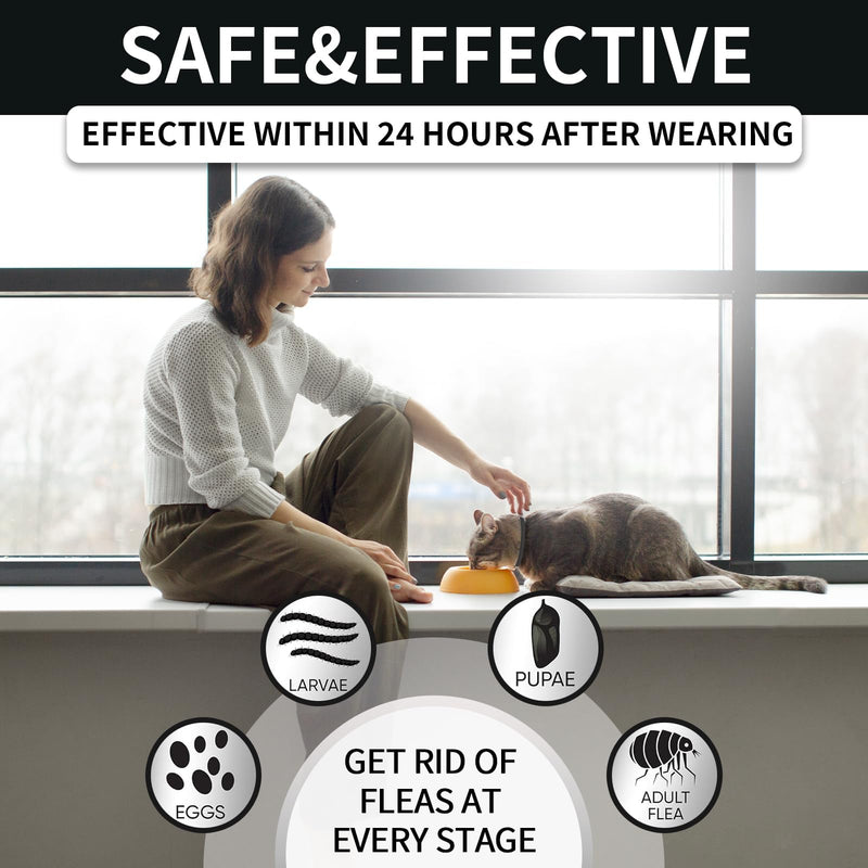 4 Pack Flea Collar for Cats, Cat Flea and Tick Collar 32 Months Cat Flea and Tick Treatment Collar, Waterproof Adjustable Cats Kitten Flea Collar, Tick and Flea Prevention Collar for Cat, Black Grey Black & Grey - BeesActive Australia