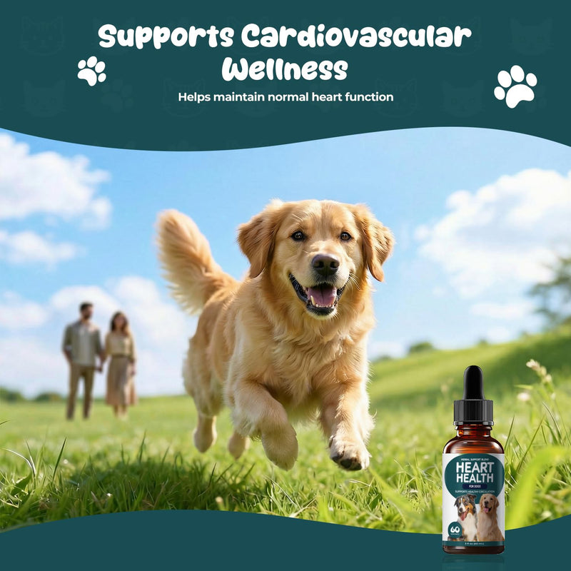 Young Heart Support for Dogs - Heart Health & Healthy Circulation Support - Cardiovascular Wellness Herbal Drops with Hawthorn, Ginkgo Biloba & Garlic - Dog Heart Supplement Liquid - 60 ml