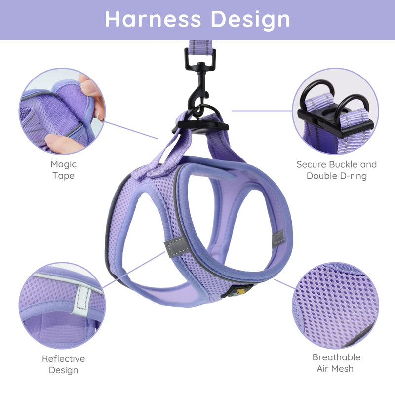 BELLA & PAL Puppy Harness with Leash Set, Dog Harness for Small Dogs No Pull, Dog Leash for Small Dogs, Step in Harness for Extra Small Dogs, Purple Lavender Harness, S - BeesActive Australia