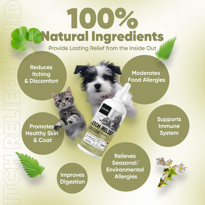 Herbal Cat and Dog Itchy Skin Relief Liquid - 250ml - Add Drops to Food/Water - Long Term Itchy Dog Skin Relief - 100% Natural Itchy Skin and Hot Spot Relief Drops for Dogs & Cats - Nourishes Skin