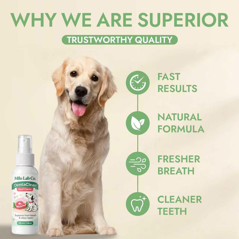 Advanced Dental Spray, Dentaclean Oral Care Pet Dental Spray, Breath Freshener Spray Supports Healthy Gums and Clean Teeth, Safe Ingestible Formula for Daily Pet Hygiene