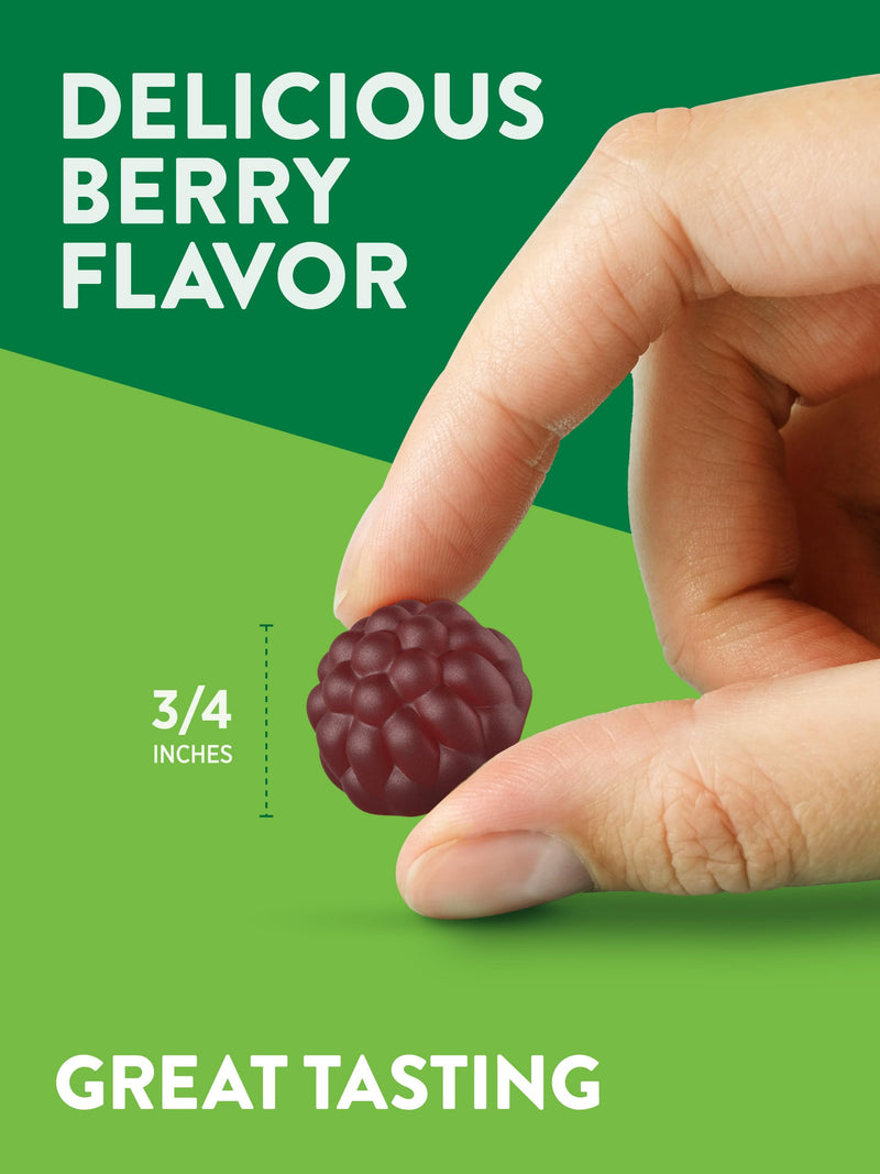 Nature's Truth Black Elderberry Gummies | 50 Vegan Gummies | with Vitamin C and Zinc | Berry Flavor | Vegan, Non-GMO, and Gluten Free Supplement | with Vitamin C and Zinc | Berry Flavor | Vegan, Non-GMO & Gluten Free Supplement 50 Count (Pack of 1)