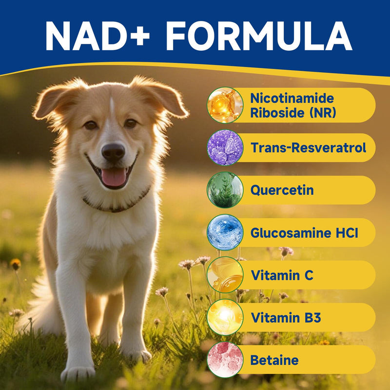 NAD Supplement for Dogs - NAD Soft Chews for Senior Dogs - Energy & Vitality, Anti-Aging, Cognitive Function - NR, Trans-Resveratrol, Quercetin, Glucosamine HCI - 140 Chews, Chicken Flavor