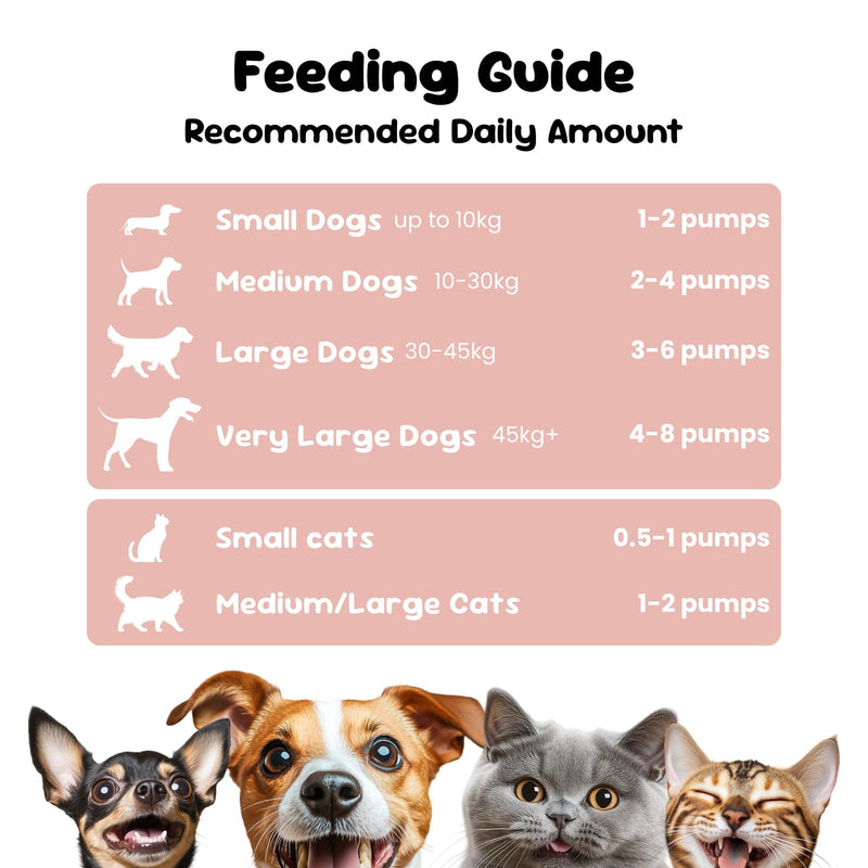 Scottish Salmon Oil for Dogs & Cats, 100% Natural Omega 3, 6, 9 Supplement, Itchy Skin & Coat Support, Joint Care, Heart & Immune Health & Cognitive Function, Made in UK - 500 ml