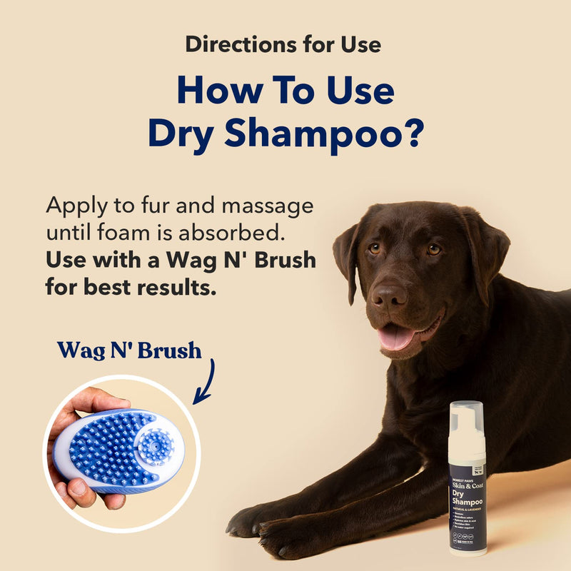 Honest Paws Dog Dry Shampoo - Waterless No Rinse Foaming Formula Reducing Itch Cleanse Hydrate Nourish Dry Skin and Smelly Coat Help Decrease Odor Shedding and Allergies - Oatmeal & Lavender - 6.3 oz Foaming - Oatmeal & Lavender - 6.3oz - BeesActive Australia