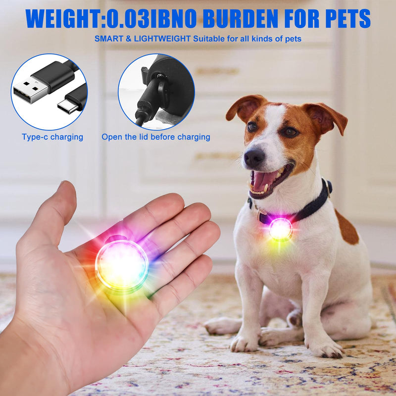 Rechargeable Pet Tag Light, USB Rechargeable LED Night Light Collar Jewelry, Light Pendant Dog Rechargeable, Waterproof Pet Lights Ideal for Nighttime Dog Walks Camping (RGB) RGB - BeesActive Australia