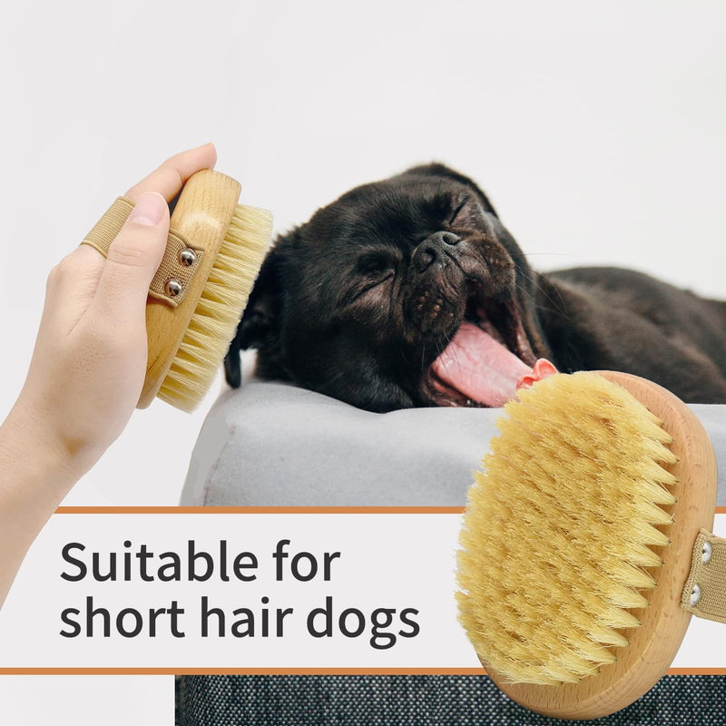 Soft Bristle Pet Brush - Natural Bristle Palm Brush for Short Haired Cats and Dogs with Elastic Band - BeesActive Australia