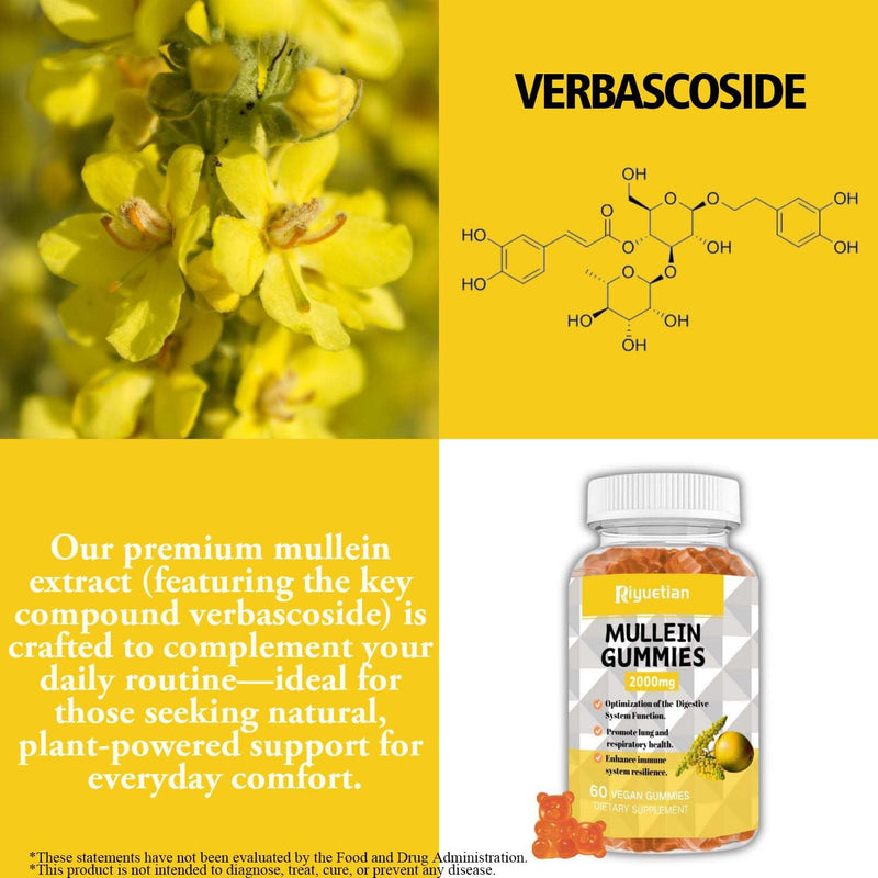 Mullein Gummies, 2000mg Organic Mullein Leaf Extract with Quercetin, Bromelain & Vitamin D3, Mullein Leaf Extract for Respiratory, Natural Lung Cleanse, Improve Appetite, Vegan, Non-GMO, 1 Pack 60 Count (Pack of 1)