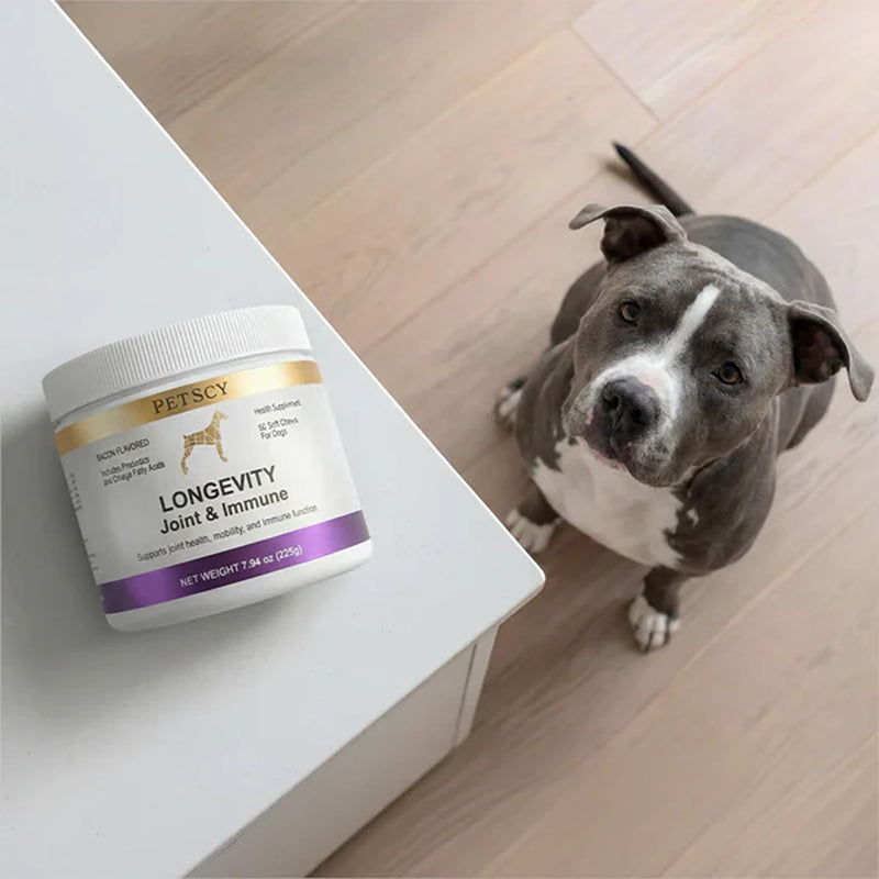 Petscy Longevity Hip & Joint + Immune Support Chews for Dogs - 3.75g Chew - High Dose Glucosamine, MSM, Chondroitin, Green Lipped Mussel, Omega 3, Probiotics - 60 Chews (Small & Medium Dogs) Small / Medium Dogs (0–64 lbs)