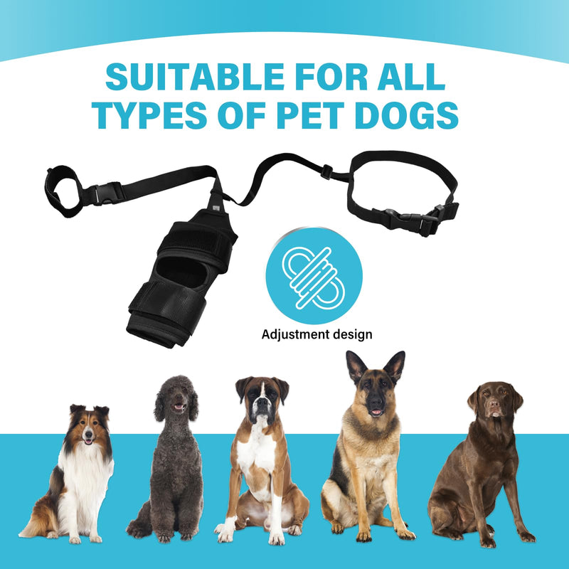 Dog Knee Leg Brace - Dog Knee Brace for Torn ACL Hind Leg, Dog Leg Braces for Back Leg & Front Leg, ACL Tear Leg Support, Comfortable and Adjustable, Size M Black(Dog Leg Brace) - BeesActive Australia