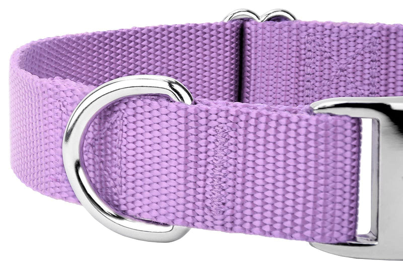 Country Brook Petz Premium Nylon Dog Collar with Metal Buckle for Small Medium Large Breeds - Vibrant 30+ Color Selection (Large, 1 Inch, Lavender) Large (Pack of 1) - BeesActive Australia
