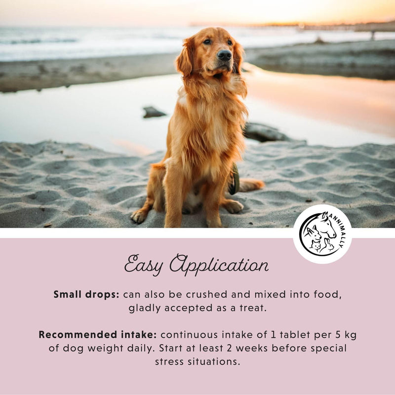 Annimally Relax Tablets for Dogs 120 pcs. - Daily Supplement with St John’s Wort, Valerian Root, L-Tryptophan & Vitamins, Made in Germany 120 Tablets for Small Dogs