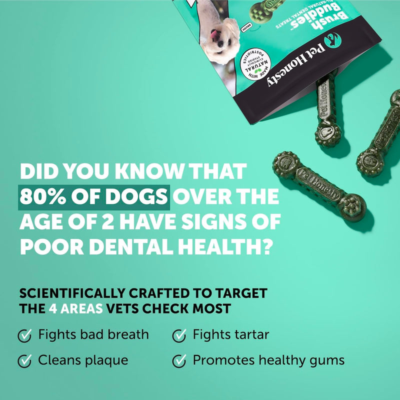 Pet Honesty Dog Wellness Virtual Bundle – Allergy Relief Immunity Chews (Salmon, 90 Ct) + Brush Buddies Dental Sticks for Extra Small Dogs (40 Ct) – Itch Support, Plaque & Breath Care
