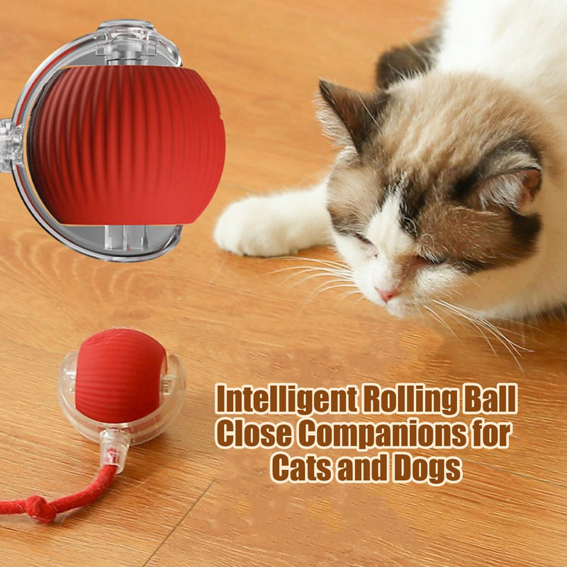 2PC Interactive Rolling Dog Ball,Interactive Dog Ball,Interactive Cat Ball Toy,Interactive Cat Dog Toys Ball Fast Rolling,360° Smart Automatic Rolling Pet Ball (Green) 2PC Green