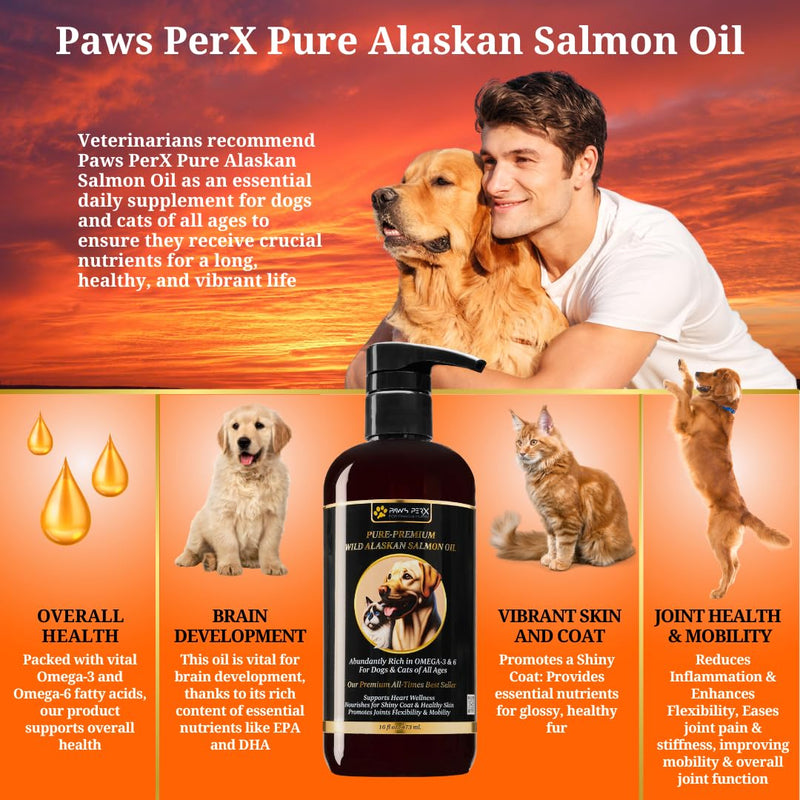 Human Grade, Naturally Caught, Pure-Premium Wild Alaskan Salmon Oil for Dogs & Cats; Rich in Omega-3 EPA and DHA Fatty Acids; (One, 16 fl oz Bottle) - BeesActive Australia