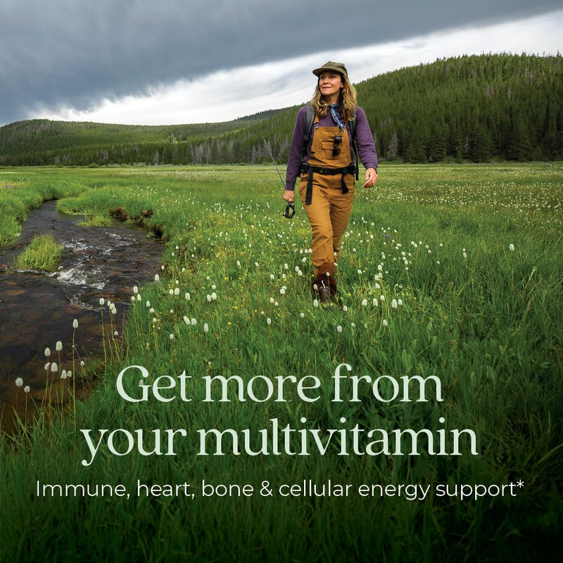New Chapter Women's Multivitamin 50 Plus for Cellular Energy, Heart & Immune Support with 20+ Nutrients + Astaxanthin - Every Woman's One Daily 55+, Gentle on The Stomach, 72 Count 72 Count (Pack of 1)