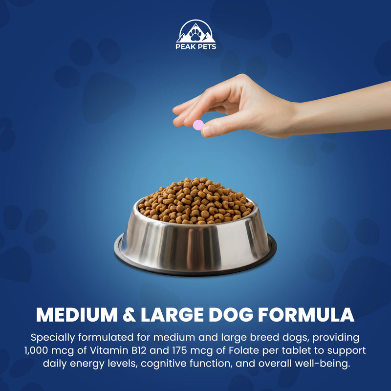 Vitamin B12 Supplement for Medium & Large Dogs with Cobalamin, Folate - Vitamin B12 for Dogs Tablet Energy & Cognitive Support - 120 Chicken Flavored Chewable Tablets -Third Party Tested, Non GMO Medium & Large Dogs (120 Count)