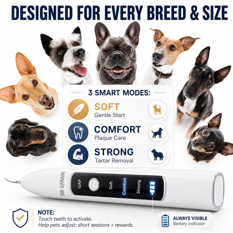 SIRGAWAIN Pet Ultrasonic Dental Cleaner — Plaque, Tartar & Stains Remover, 4 Tips, 3 Modes, LED, Contact-Activated & Smart Touch Protection, Complete Cleaning Kit for Dogs & Cats White