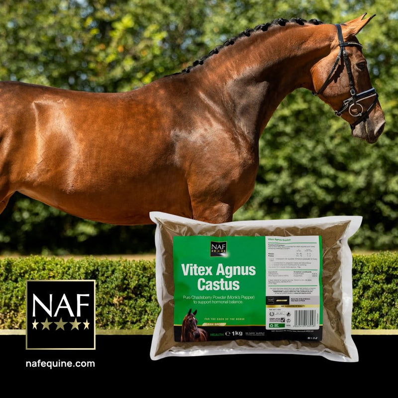 NAF Vitex Agnus Castus Powder 1kg – Natural Hormonal Support for Horses – Pure Chasteberry Supplement – Supports Behaviour, Hormone Balance & Seasonal Comfort