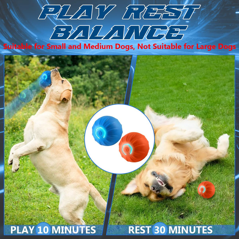 2025 New Shaky Ball Toy for Dogs, Vibrating Dog Ball,Shaking Dog Ball, Interactive Dog Ball,USB Rechargeable Automatic Moving Dog Toy Ball,for Small Medium Large Dogs(2PCS-A) (B) B - BeesActive Australia