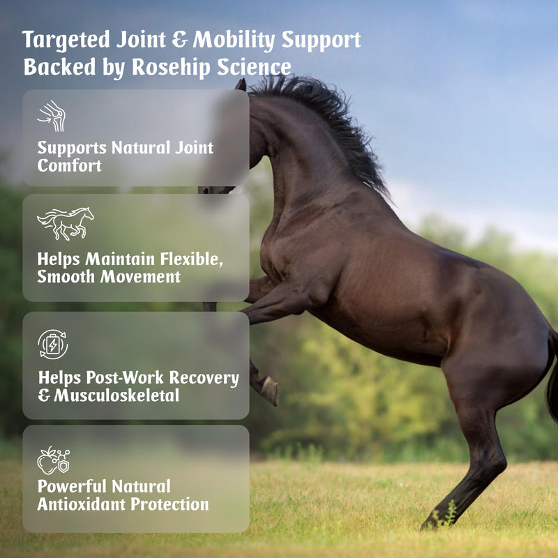 EquiJoint FlexFix for Horses | 240 Easy-Open Capsules - 4 Months Supply | Joint and Mobility Support Supplement for Horses | Combine with Boswellia or Glucosamine | Made in the UK