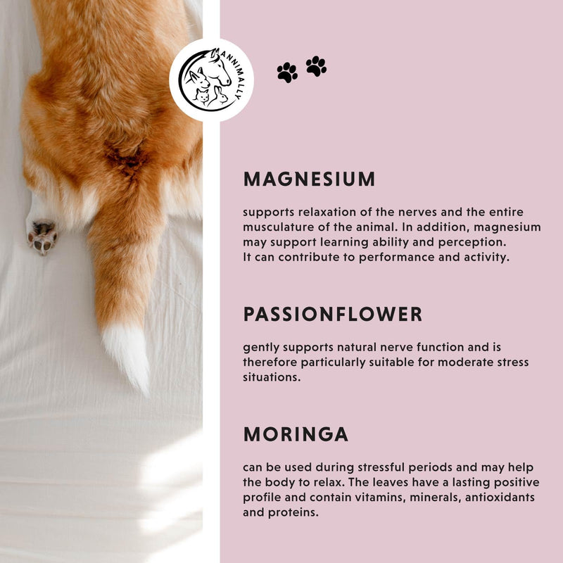Annimally Relax Liquid for Dogs & Cats 250 ml - Daily Pet Supplement with L-Tryptophan, Moringa, Ashwagandha, Magnesium, Passion Flower, St John’s Wort & Hops, Made in Germany