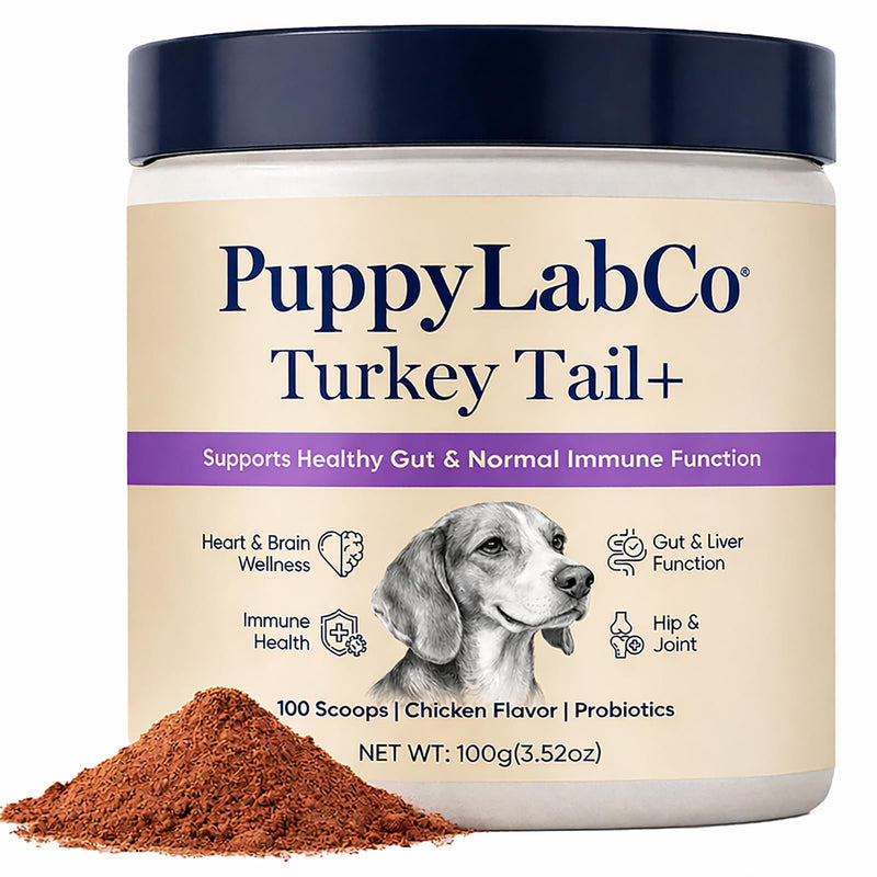 Puppy Lab Co Turkey Tail, PuppyLabCo Turkey Tail Mushroom for Dogs, Turkeytail Mushroom + Probiotics Powder Supplement, Chicken Flavor, Gut & Immune Supports, 100g (1) 1