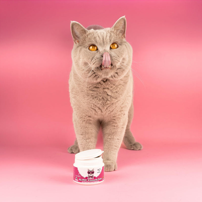 NutriPaw All-Itch Immunity Treats For Cats - Soothe Itchy Paws, Eyes, Ears, Skin - Stop Itching, Licking, Scratching & Excessive Grooming breeds - Supports Seasonal Itching All-Itch Chews