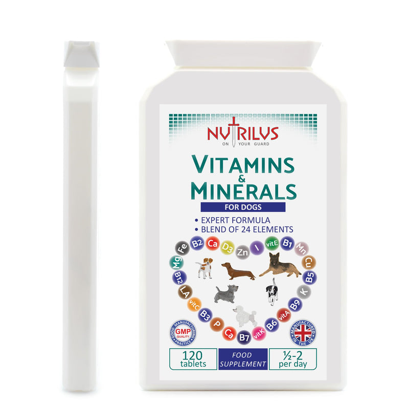 Vitamins and Minerals for Dogs - 120 Chewable Chicken Flavour Tablets - 24 Vitamins, Microelements and Omega 6 - Skin, Fur, Heart, Bones, Brain, Energy