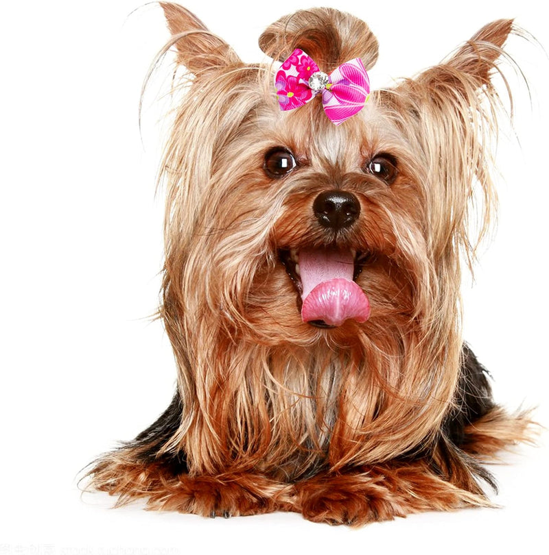 30PCS/15PAIRS Valentine's Day Dog Hair Bows with Rubber Bands Bowknot Top Knot Elastic Pink Red for Doggy Puppy Poodle Grooming Accessories Valentine's Day 30PCS - BeesActive Australia