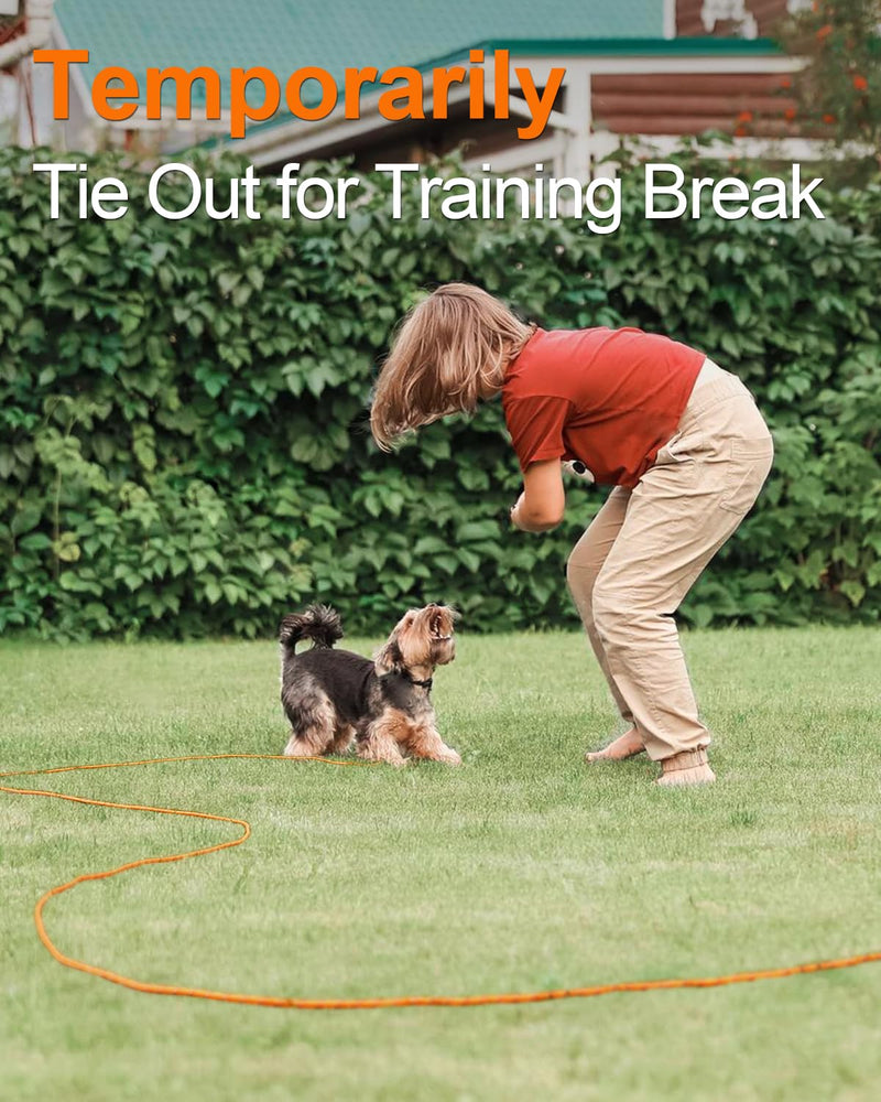 30ft Long Dog Leash | Neoprene Padded Handle | Lockable Heavy Duty Clip | Handle Removable for Temporary Tie Out | Dog Training,Hiking,Camping,Playing Outside or in Yard | Orange, 3/8" Thick 30ft - BeesActive Australia