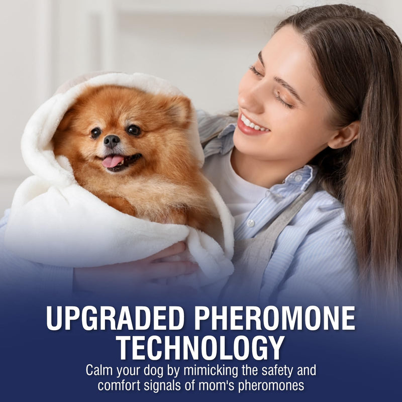 Piuess Pheromones Dog Kit Dog Calming Appeasing Pheromone Calming To Reduce Anxious Behavior Fireworks Barking 6 x 48ml Diffuser Refill Bottles Tasteless - BeesActive Australia
