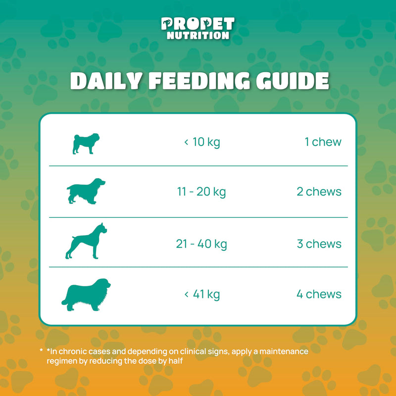 Joint Supplement for Dogs with Glucosamine, Chondroitin, Vitamins, Hyaluronic Acid and MSM. Anti Inflammatory. Supports Joint Structure & Maintains Mobility Adult/Senior/Junior Dogs