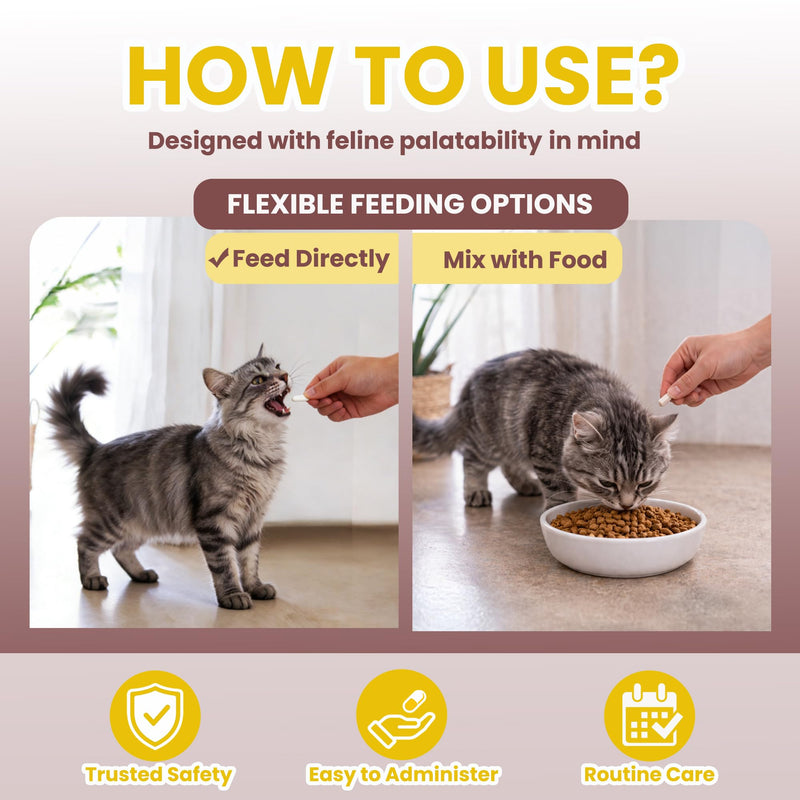 Dewormer for Cats & Kittens, Fenbendazole for All Wormers, Roundworms, Hookworms and Whipworms, 24 Tablets