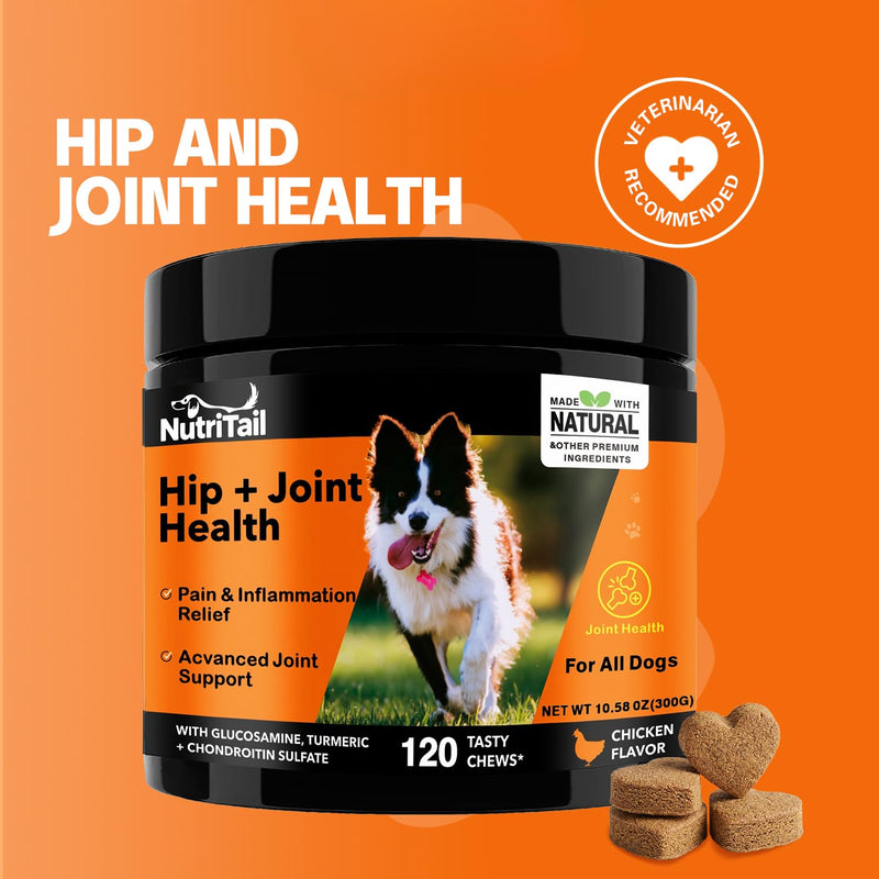 Hip & Joint Health Soft Chews for Dogs – Glucosamine, Turmeric, Omega-3 & Chondroitin – Natural Joint Supplement for Mobility, Pain & Inflammation Relief – Chicken Flavor, 120 Soft Chews