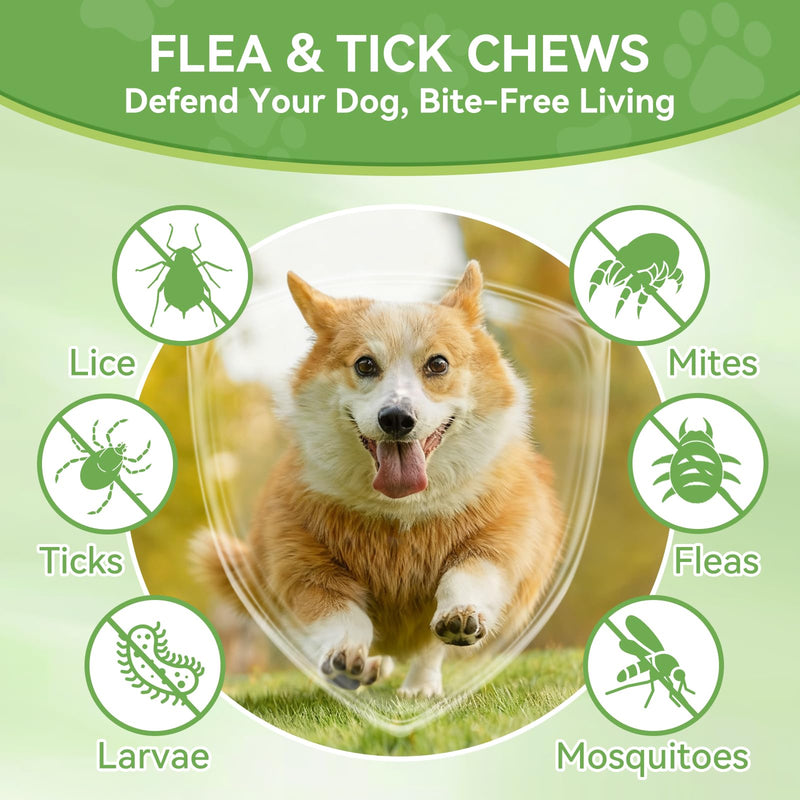 Dog Flea and Tick Chewables for Dogs 200Ct, Natural Support Supplement, Flea Supplement for Dogs, Flea and Tick Chews for Dogs Puppies, All Breeds & Sizes, Digestive Health Chicken Flavor
