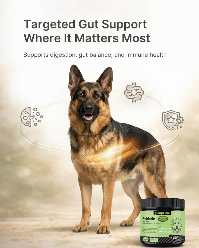 Probiotics for Dogs - Dog Probiotics Digestive Health Support, Dog Probiotic Chews with Spore-Forming Bacillus Coagulans, Prebiotic Inulin & Digestive Enzymes, Chicken Flavor, 120 Soft Chews