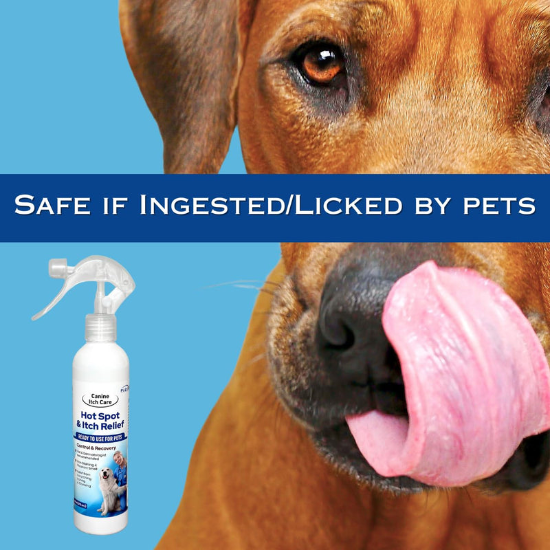 Canine Itch Care Hot Spot Spray & Itch Relief For Dogs. Remedy for Dog Itching, Dry Skin, Rash, Ringworm, Dermatitis, Itchy Paw, Irritation on Skin, Skin Allergy, Wound Care. 8 oz Ready To Use Spray