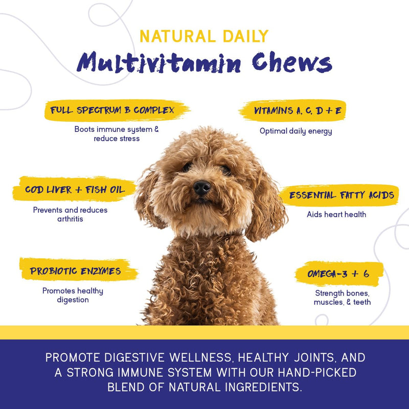 PupGrade Daily Multivitamin for Dogs - All-in-One Supplement for Digestive, Immune, Skin and Coat Health - 32 Healthy Nutrients, Probiotic Enzymes, Omega Fish Oil, Vitamins A, C, D & E - 30 Soft Chews 30 Count (Pack of 1) - PawsPlanet Australia